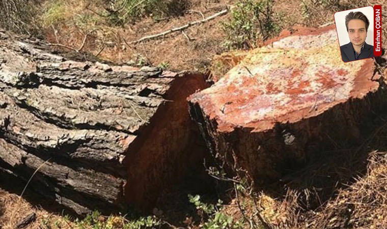 Define skandalının ardından görev yerini değiştirirken arkadaşına iş verdi iddiası: Giderayak rant sağladı