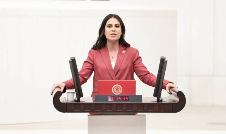 CHP’li Özcan: Bir avuç sermaye için tarih ve doğa yok edilemez