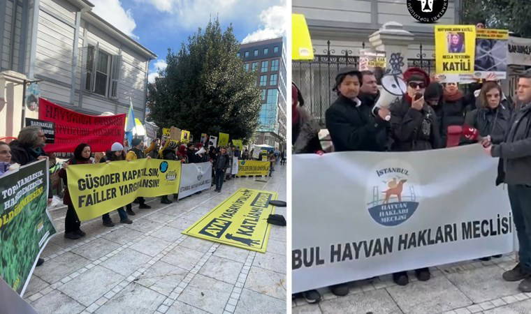 İstanbul Hayvan Hakları Meclisi yetkililere seslendi