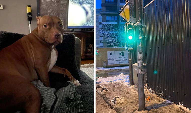 Sosyal medya bu olayı konuşuyor