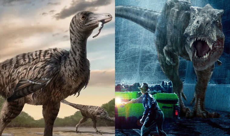 'Jurassic Park' gerçek oldu: Dinozorların hiyerarşisi yeniden yazılıyor