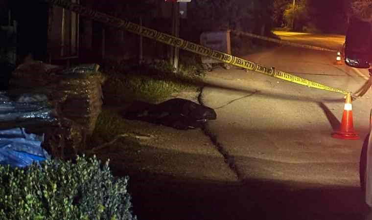 Engelli yayaya çarpıp ölümüne neden oldu: Tutuklandı!