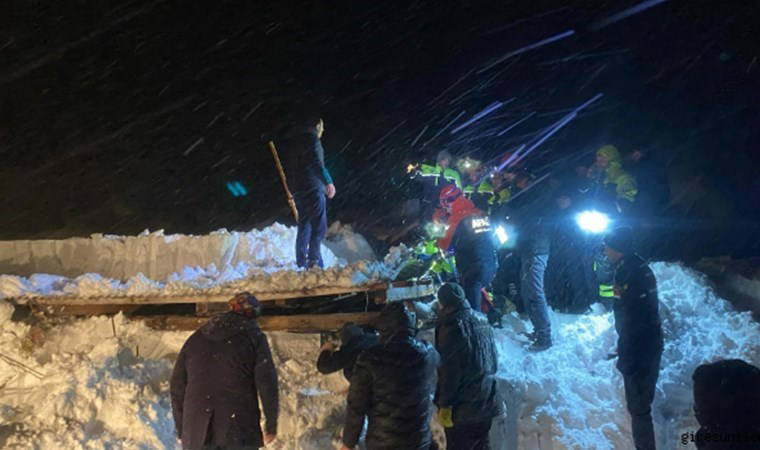 Artvin'de 'kar' etkisi: Ahır çöktü, 50 küçükbaş hayvan öldü