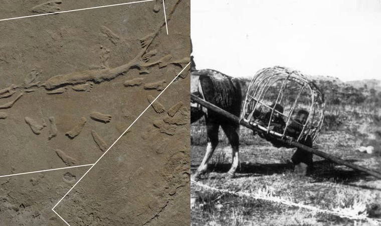 22 bin yıllık sır çözüldü: Taşıma yönteminin en eski kanıtı bulundu