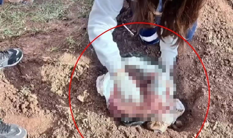 Arazide bebek cesedi bulundu: Annesinin yaptığı ortaya çıktı