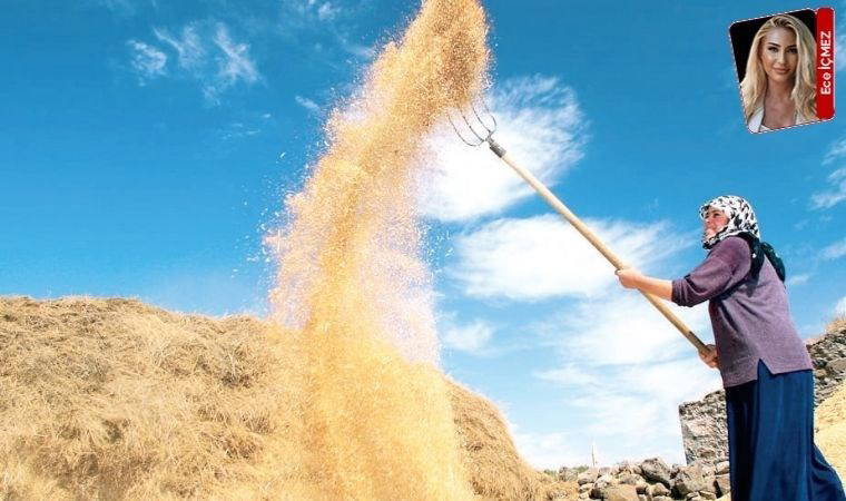 Çiftçinin borcu 147 kat arttı, tarım alanları daraldı!