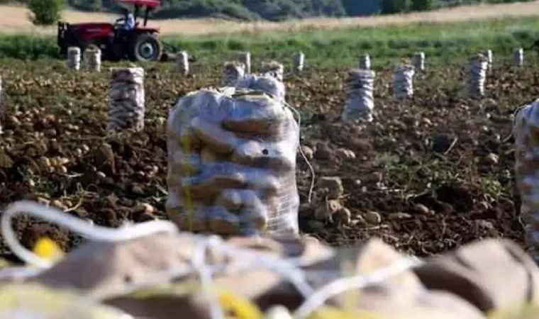 Ziraat Odaları Birliği açıkladı