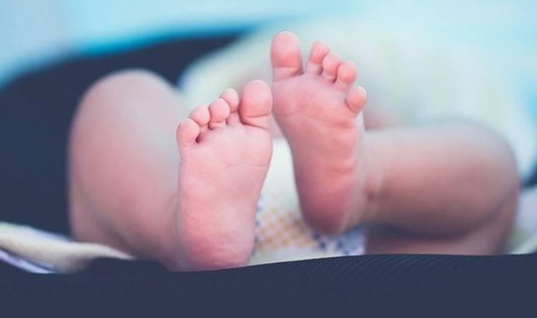 Gerekçeleri pes dedirtti!