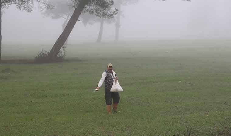 Kasaba Ovası'nda "kör duman" tarıma hayat veriyor: 40 bin dönümlük alanda yetişiyor...
