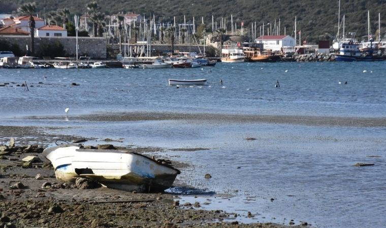 Tekneler karaya oturdu: İzmir'deki deniz çekilmesinin Ege Denizi'ndeki depremlerle ilgisi var mı?