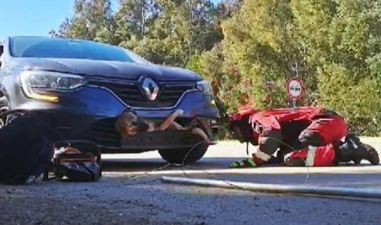 İlginç kaza: Tampona sıkışan köpek kurtarıldı