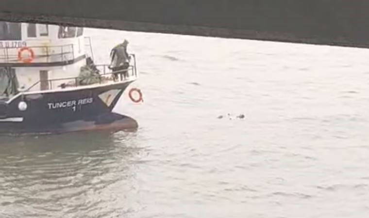 Denize düşen kadını balıkçılar kurtardı