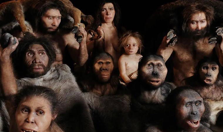 İnsanlık ailesinin en eski bireyi