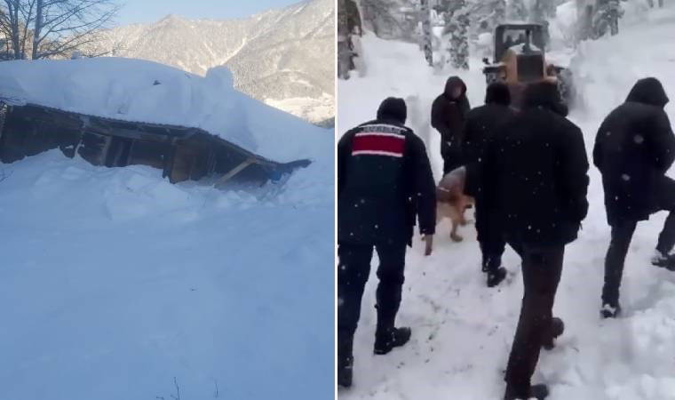 Artvin'de çığ düştü: 2 ev ile 1 iş makinesi kar kütlesi altında kaldı