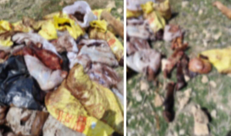 Mardin'de mide bulandıran olay: Et ve eşek kesen şüpheliye suçüstü!