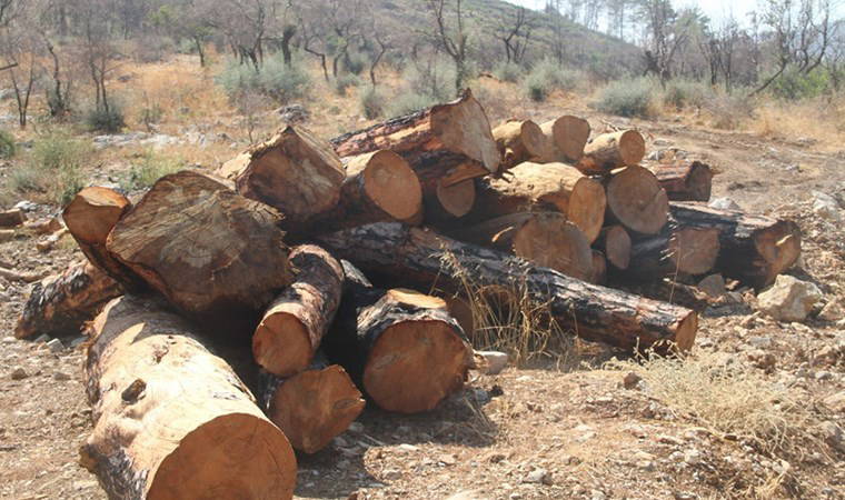 'Valinin talimatı yok sayıldı'
