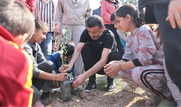 Katledilen 445 kadın anısına zeytin fidanları toprakla buluştu