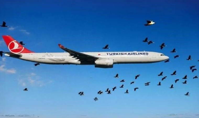 İstanbul hava sahasında 'leylek' alarmı!