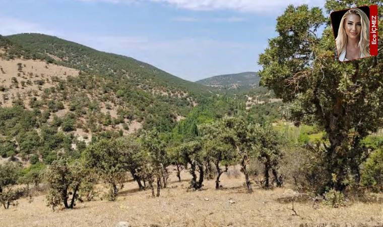 Eski Bakan Ağbal, İzmir'e RES dikecek: ÇED'e 'sit' ayarı!