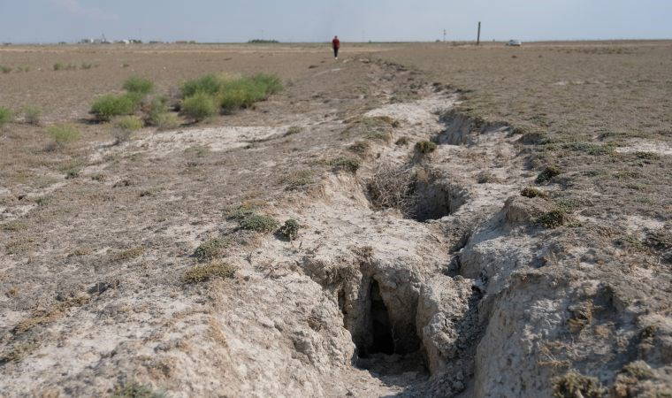 Uzmanlardan kritik uyarı: En sıcak ikinci kış, kuraklık endişesi doğuruyor