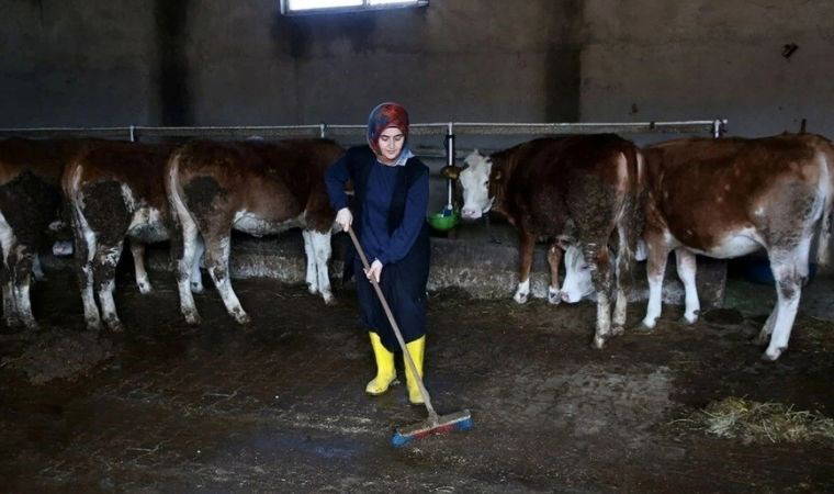 250 bin lira hibe desteğini 6'ya katladı: Üretip tüm ilçeye satıyorlar