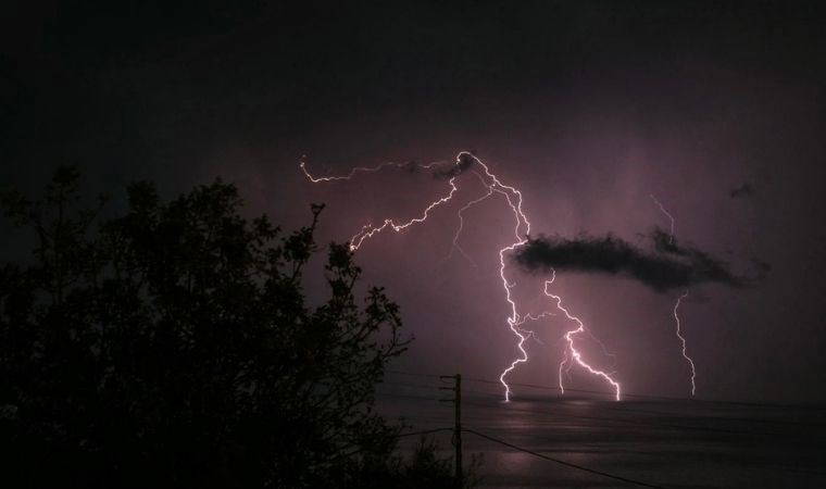 Dünya'daki yaşamı 