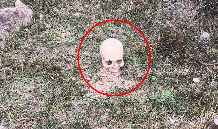 Arnavutköy'de 'insan kafatası' bulundu: Polis ekipleri harekete geçti!