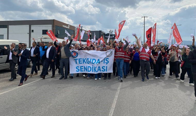 İzmir'de tütün grevi alıcı firmalara taşındı: Vazgeçmeyiz