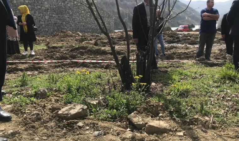 Vali durdurdu, kesim yeniden başladı: Ayvacık'ta ağaç kıyımı