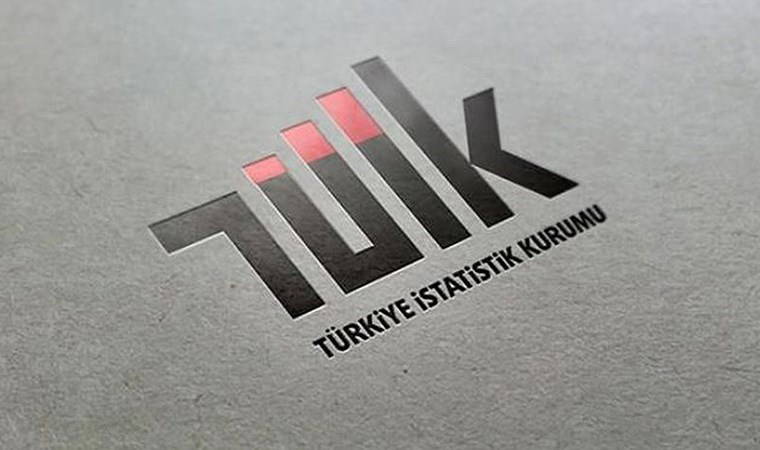 TÜİK, yarın ilk kez hakim karşısına çıkacak