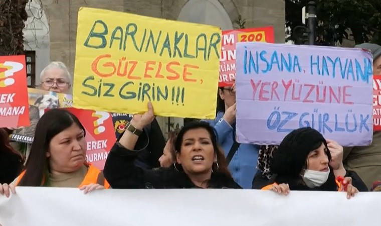 Yaşatacağız Platformu’ndan sahipsiz hayvanlarla ilgili kanuna karşı protesto