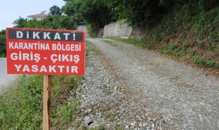 Bolu'da 'şap hastalığı' alarmı: 22 köy karantinaya alındı!