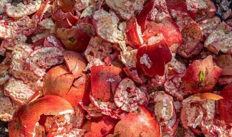 Kabuğunu kaynatıp bir bardak için! Her derde deva