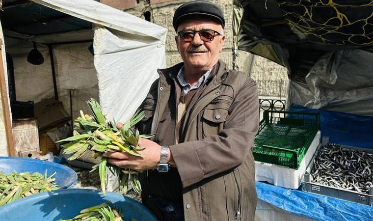 Yüksekovalıların sağlık sırrı: Doğada kendiliğinden yetişiyor, doğal antibiyotik! Kilosu 50 TL