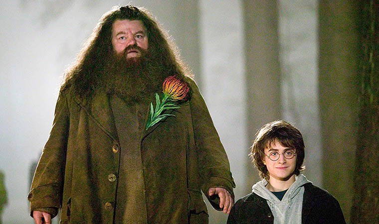 Harry Potter geri dönüyor! Dizinin 'Hagrid'i belli oldu