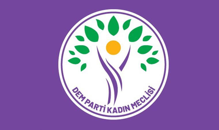 DEM Parti Kadın Meclisi'nden 'polis şiddeti' tepkisi: 'Genç kadınlar taciz, şiddet ve çıplak aramaya maruz kaldı!'