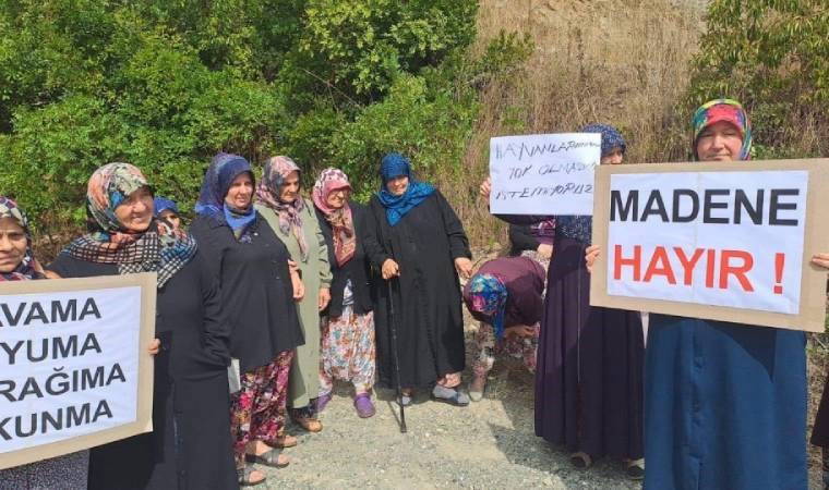 'Orman ekosistemine ve su kaynaklarına ciddi zarar verecek'