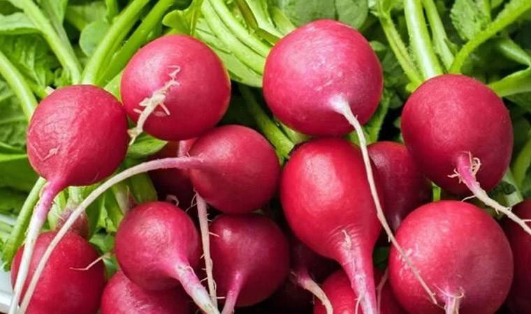 Turpun faydaları neler? Turp neye iyi gelir?