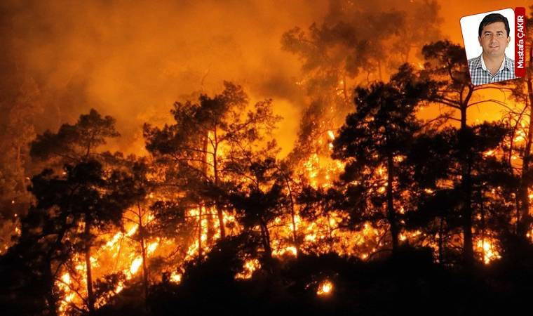 1 uçağa 164.6 milyon lira!