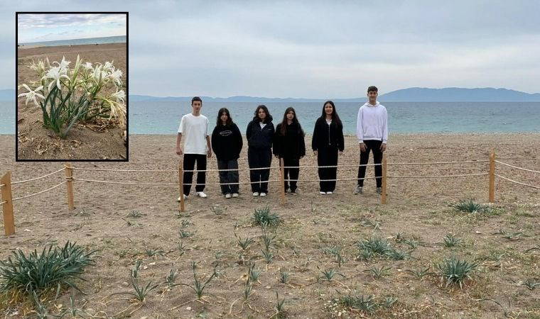 Nesli tükenme tehlikesi altında! Liseliler, kum zambakları için seferber oldu