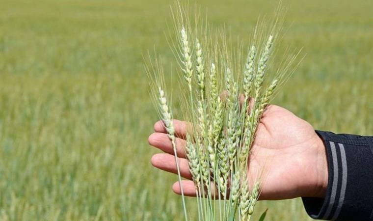 2025 Mart ayı mazot ve gübre desteği ödemeleri ne zaman ödenecek, yattı mı?