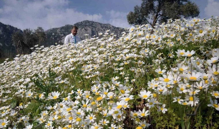 Son cemre de düştü: Bahar geliyor...