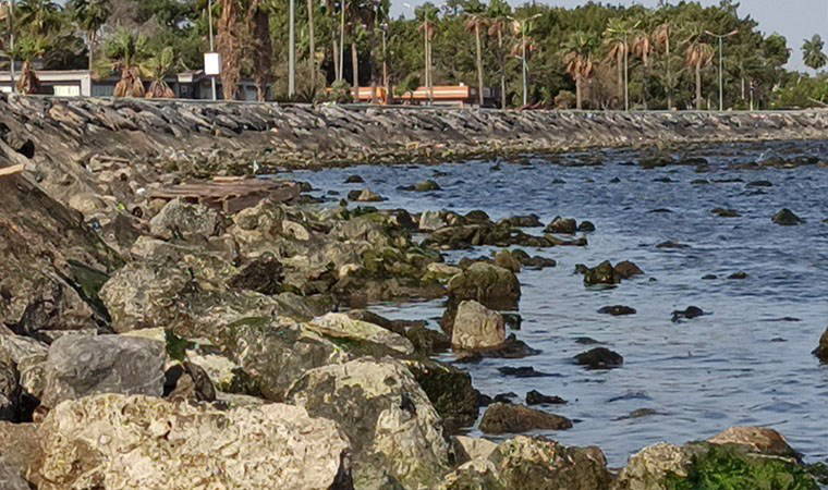 Hatay'da fırtına sonrası deniz 50 metre çekildi