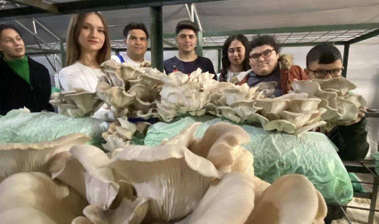 100 metrekarelik alanda 500 kg üretildi: 40 günde hasat ediliyor....