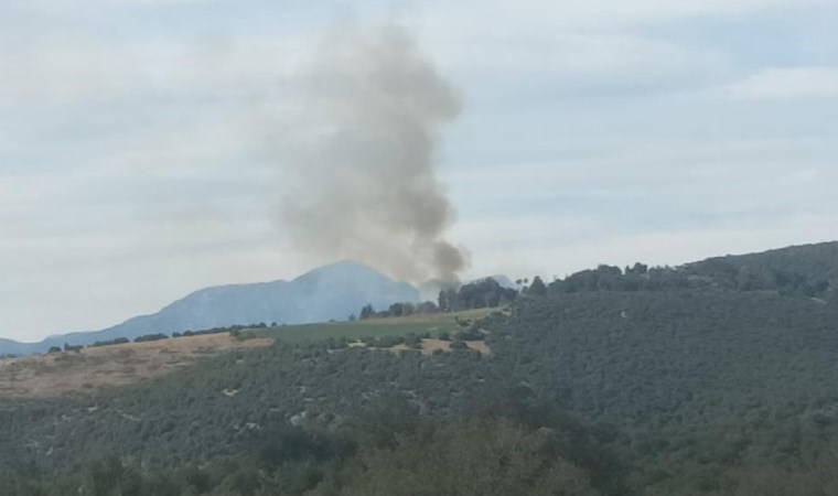 Kahramanmaraş'ta ormanlık alanda çıkan yangın söndürüldü