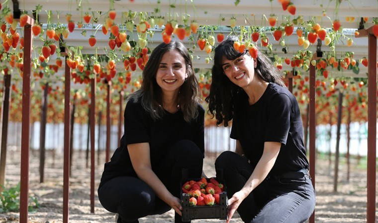 Topraksız tarımla kendi işlerinin patronu oldular: Bir dönümlük alanda yetiştiriyorlar