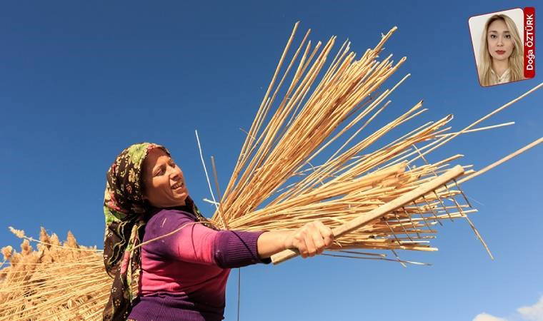 Şiddetin ve eşitsizliğin gölgesindeki kadınlar, istihdamda AB’nin gerisinde: En az 30 yıl gerekiyor