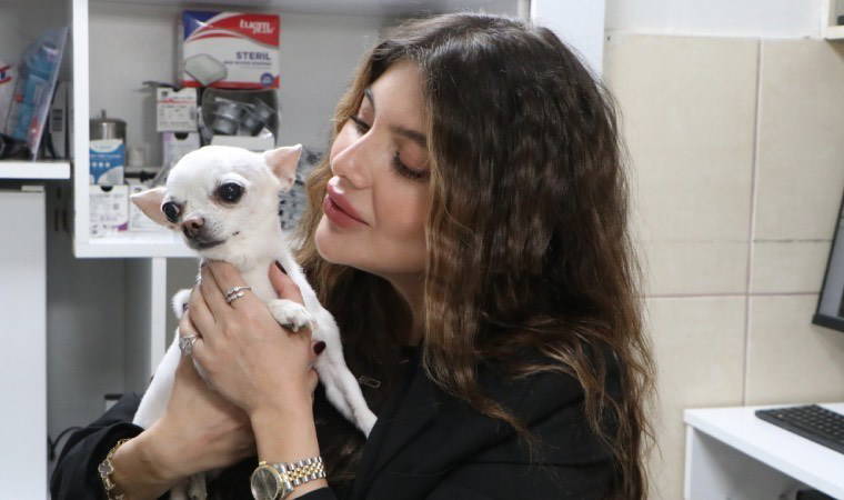 Horlamasıyla sahibini uyutmayan ‘Mini’, ameliyatla sağlığına kavuştu