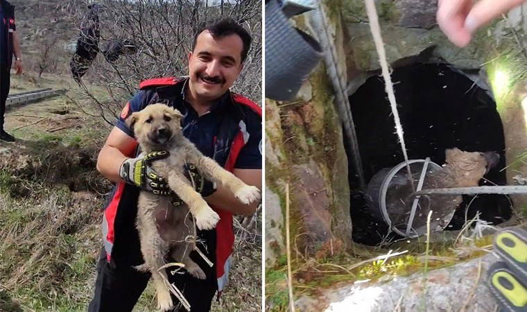 Kuyuya düşen yavru köpek, itfaiye tarafından kurtarıldı