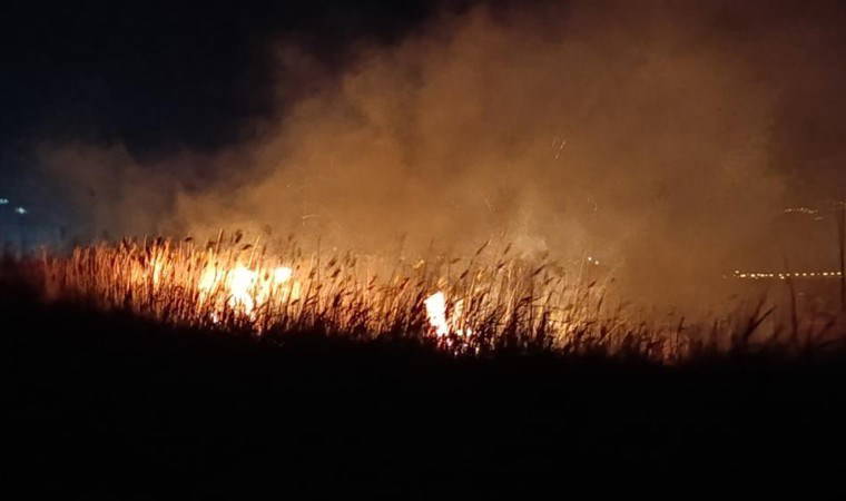 Göksu Deltası'nda yangın: ‘Yanmaktan kaçmaya çalışan yüzlerce göçmen kuş…’